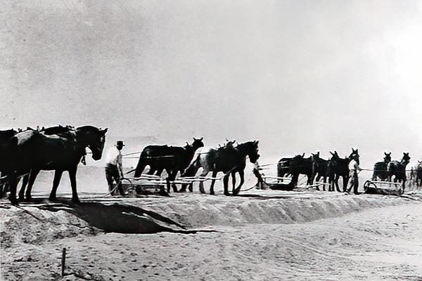 Mule team pulling Fresno scrapers, circa 1925
